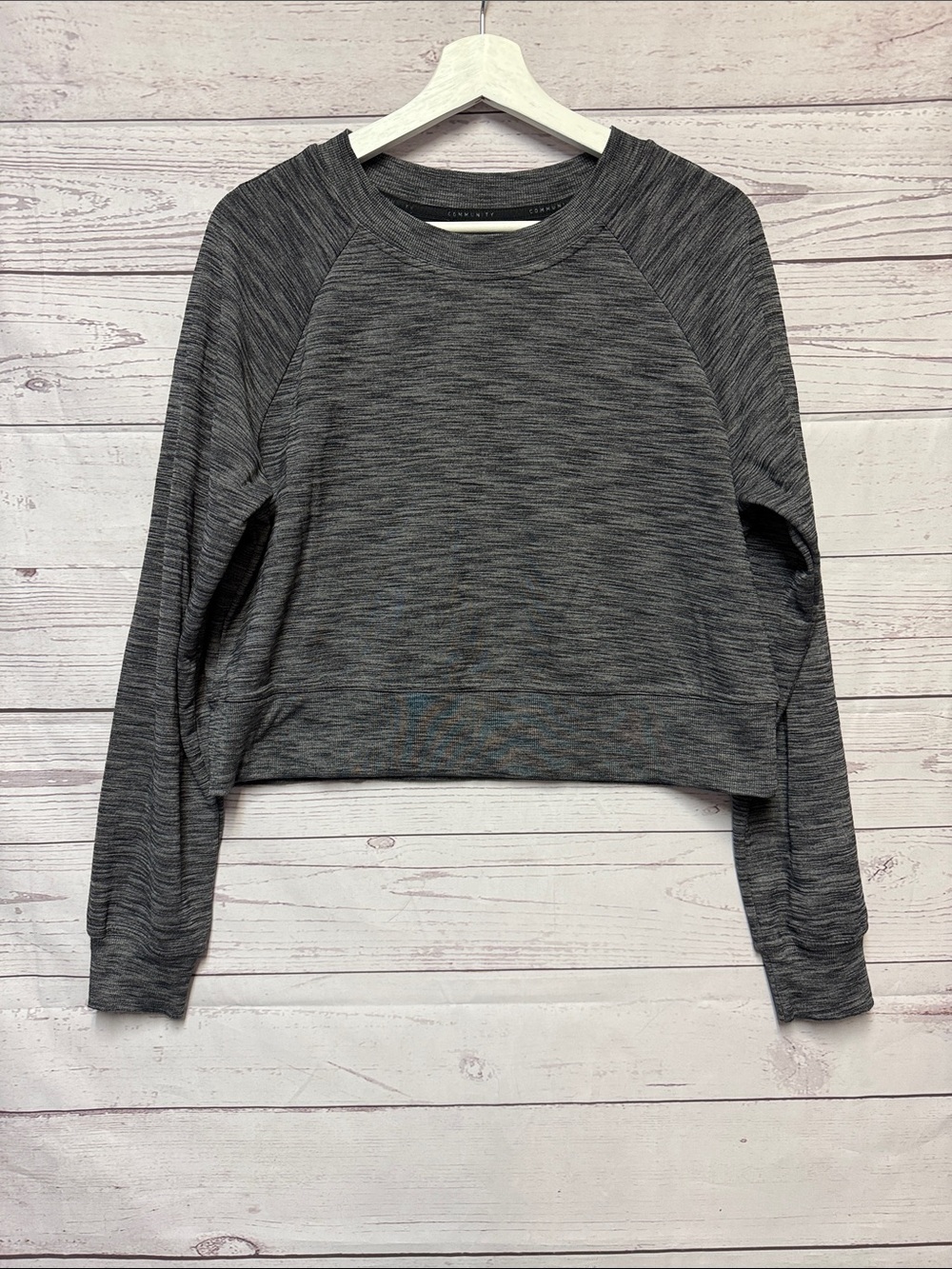 Aritzia Community longsleeve top